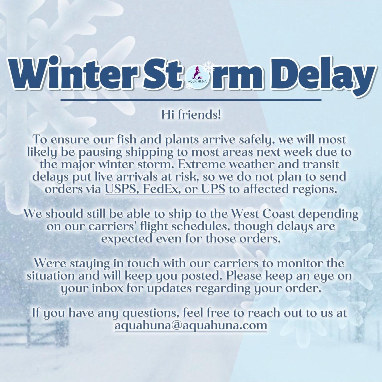 Important Shipping Update: Winter Storm Delay