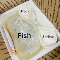 Shrimp may be shipped in a breather bag, which comes wrapped in a paper towel.